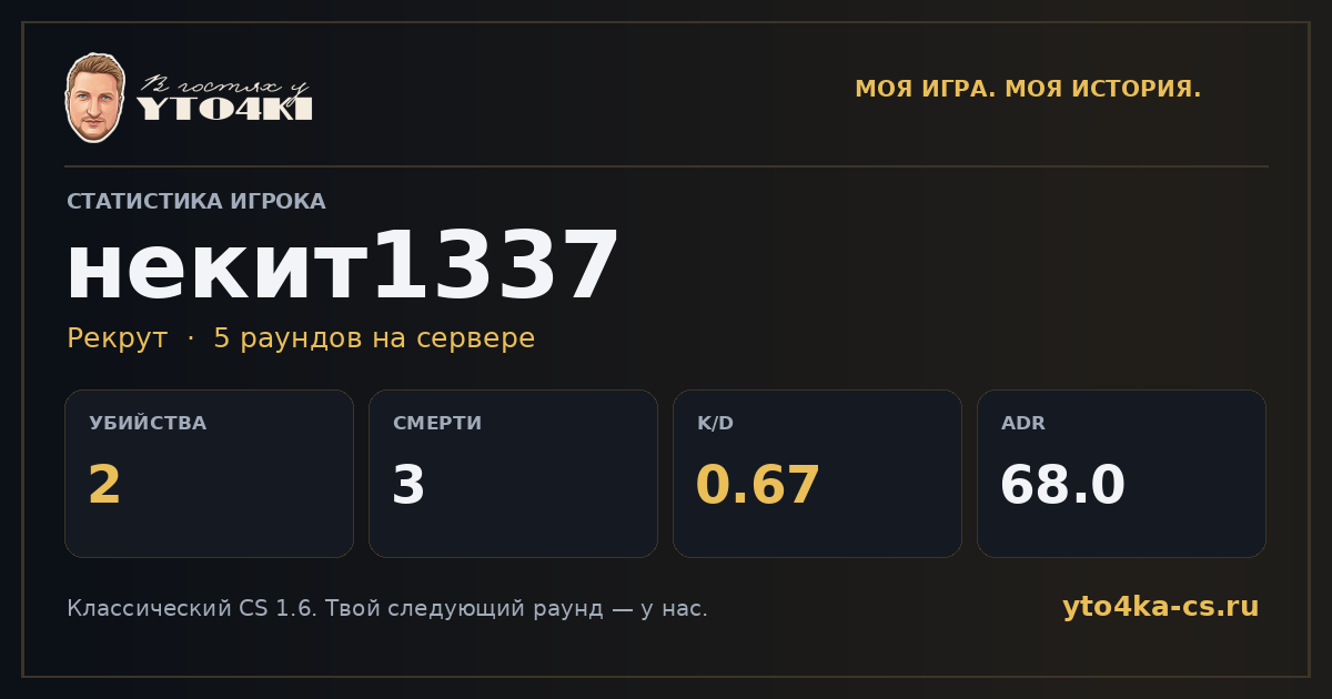 Карточка статистики некит1337